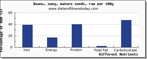 chart to show highest iron in navy beans per 100g